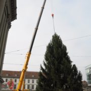 PKWeihnachtsbaum