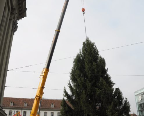 PKWeihnachtsbaum