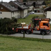 TrspWeihnachtsbaum