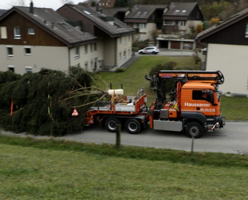 TrspWeihnachtsbaum